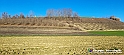 20230110_152450 - Dalla terra... il grano